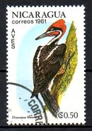 NICARAGUA. N°1161 Oblitéré De 1981. Pic. - Specht- & Bartvögel