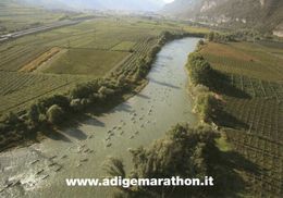 B 1159 - Sport, Canottaggio, Adige Marathon - Rowing