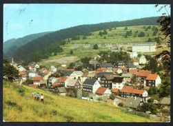 A5179 - Alte Foto Ansichtskarte - Fehrenbach Kr. Hildburghausen Masserberg - Thienel - Hildburghausen