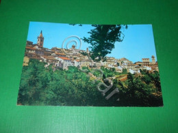 Cartolina Ripatransone - Belvedere Del Piceno - Scorcio Panoramico 1972 - Ascoli Piceno