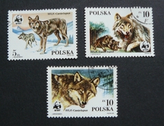 Fox Stamps - Estampillas De Lobos - Polonia - Collections, Lots & Series