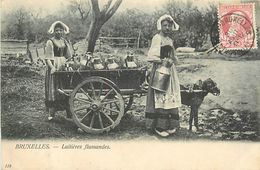 A-17.6766 : LAITIERES FLAMANDES VOITURE A CHIEN. LAIT. FROMAGE. - Petits Métiers