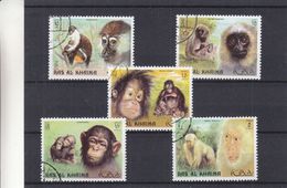 Ras Al Khaima - Singes - Orang Utan - Gorilles - Série Oblitéré - Apen