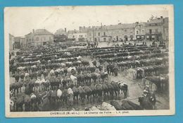 CPSM Marché Aux Bestiaux - Le Champ De Foire CHEMILLE 49 - Chemille