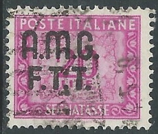 1947-49 TRIESTE A USATO SEGNATASSE 2 RIGHE 20 LIRE - R14-7 - Postage Due