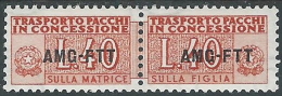 1953 TRIESTE A PACCHI IN CONCESSIONE 40 LIRE MH * - R16 - Postal And Consigned Parcels