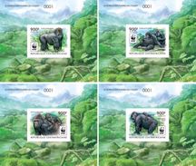 Centrafrica 2015, WWF, Gorillas, 4BF De Luxe - Gorilla's