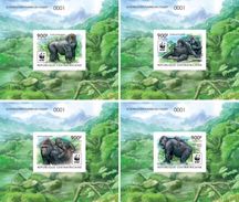 Centrafrica 2015, WWF, Gorillas, 4BF De Luxe - Gorilles
