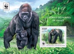 Centrafrica 2015, WWF, Gorillas, BF - Gorilla's