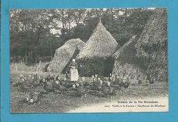 CPA 1017 - Scènes De La Vie Normande - Visite à La Ferme - Gardeuse De Dindons (14) - Sonstige & Ohne Zuordnung