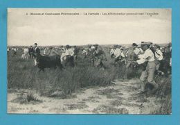 CPA 8 - Moeurs Et Coutumes Provençales - La Ferrade - Les Affictonados Poursuivant L'Anouble (13) - Otros & Sin Clasificación