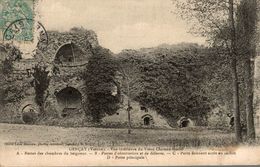 GENCAY VUE INTERIEURE DU VIEUX CHATEAU FEODAL - Gencay