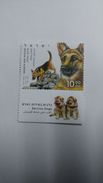 Israel-(il2404)-service Dogs'search And Rescue-(1stamp)-mint-21.6.2016 - Neufs (sans Tabs)