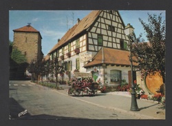 DF / 67 BAS RHIN / DAMBACH LA VILLE / PORTE ET MAISON DU VITICULTEUR LOUIS HAULLER - Dambach-la-ville