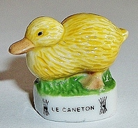 Caneton (BH) - Animaux