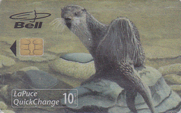 Télécarte à Puce CANADA NEUVE SOUS BLISTER / 1400 EX - ANIMAL - LOUTRE - OTTER MINT Chip Phonecard - 122 - Kanada