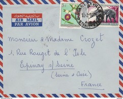 Congo Belge Lettre  STANLEYVILLE 13/2/1960 Pour Epinay  - Fleurs éléphants Animaux - Storia Postale