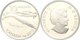 10 Dollars, 2010, Blauwal (ohne Briefmarken), Im Etui Mit OVP Und Zertifikat, Auflage Nur 10.000 Stück,... - Canada