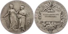 Frankreich, Silbermedaille (Dm. Ca. 41mm, Ca. 37,10g), O.J., Von A. Dubois, Prämienmedaille Des... - Autres & Non Classés