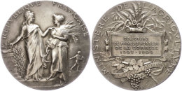 Frankreich, Silbermedaille (Dm. Ca. 41mm, Ca. 35,95g), 1904, Von A. Dubois. Av: Stehende Marianne Neben... - Autres & Non Classés