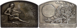 Belgien, Versilberte Bronzeplakette (ca. 70x52mm, Ca. 71,66g), 1910, Von A. Hebbelinck, Commune D'Ixelles. Av:... - Autres & Non Classés