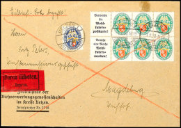 Nothilfe1929, A1+A2+5 Pf. Heftchenblatt Mit Zusatzfrankatur 25 Pf. (Nr. 433) Portorichtig Auf Eilbotenbrief... - Autres & Non Classés