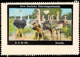 Vignette "Strauße" Aus Der Serie Deutsche Kolonialgesellschaft  OGVignette "ostriches" From The Set... - Sud-Ouest Africain Allemand