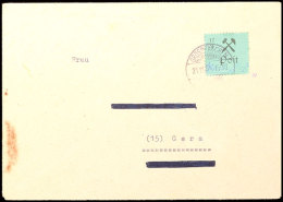 12 Pf. Grün, Gebührenmarke In Type IV (Schusterhammer), EF A. Brief Nach Gera, Anschrift Teils... - Grossraeschen