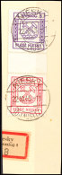 6 Pfg. + Z + 12 Pfg. Zusammendruck Auf Kabinett-Briefstück, Katalog: SZ6 BS6 Pfg. Z 12 Pfg. Se-tenant On... - Niesky