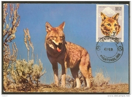 BHOUTAN Carte Maximum - Loup - Bhutan