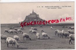 50 - MONT ST SAINT MICHEL - LES PRES SALES  SAIL MEADOWS  SHEEP - Le Mont Saint Michel