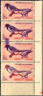 BIRDS-BLUE MAGPIE-INDIAN BIRDS SERIES-ERROR-CORNER STRIP OF 4-INDIA-1968-WITH A SPECIAL COVER-BX1-369 - Cuckoos & Turacos