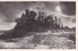 PLOUER LE CHENE VERT AU CLAIR DE LUNE - Plouër-sur-Rance