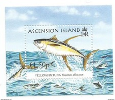 2005 Ascension Fish Tuna Game Fishing Complete Set Of 4 + Souvenir Sheet  MNH - Ascension (Ile De L')
