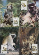 1986 WWF: Majom Sor Mi 184-187 4 Db CM-en - Other & Unclassified