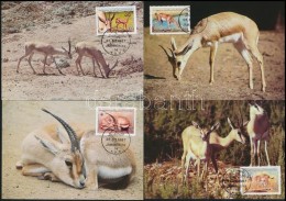 1987 WWF: Gazella Sor 4 Db CM-en Mi 1753-1756 - Sonstige & Ohne Zuordnung