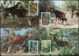 1984 WWF: Okapi Sor Mi 875-878 4 Db CM-en - Altri & Non Classificati