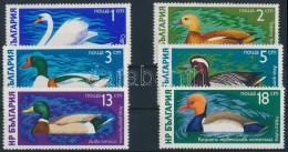 ** 1976 Vízimadarak Sor Mi 2474-2479 - Other & Unclassified