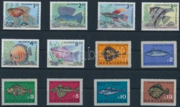 ** 1965/1993 2 Klf Halak Sor Mi 1542-1547 + Mi 4049-4054 - Altri & Non Classificati