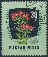 O 1961 Gyógy- és Ipari Növények 30f A TervezÅ‘ Neve Alig Látszik - Other & Unclassified