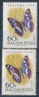 ** 1959 Lepke 60f Lepkeszárnyon KettÅ‘s Fehér Csík (6.000) - Other & Unclassified