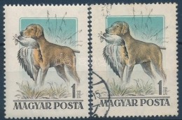 ** O 1955 Kutyák 1Ft Tarajos Réce Postatiszta és Bélyegzett (5.000) - Sonstige & Ohne Zuordnung