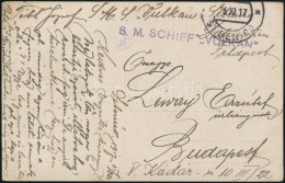 1917 Tábori Posta Képeslap 'S.M. SCHIFF VULKAN' - Sonstige & Ohne Zuordnung