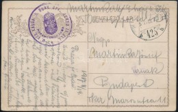 1917 Tábori Posta Képeslap / Field Postcard 'M.KIR. KASSAI 9. HONV. GYAL. EZRED' + 'TP 425 B' - Sonstige & Ohne Zuordnung