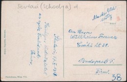 1917 Tábori Posta TCV Képeslap / Field TCV Postcard 'EP SCUTARI (SCHKODRA)' - Sonstige & Ohne Zuordnung