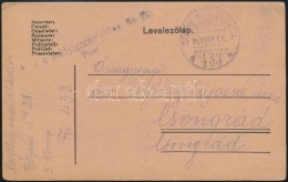 1917 Tábori Posta LevelezÅ‘lap 'K.u.k. Feldjägerbataillon No.28. Post' + 'TP 433 A' - Sonstige & Ohne Zuordnung