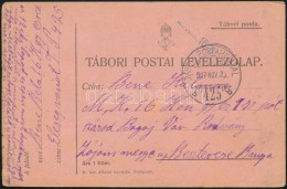 1917 Tábori Posta LevelezÅ‘lap 'M.KIR. 16. HONVÉD GYALOGEZRED' + 'TP 425 B' - Sonstige & Ohne Zuordnung