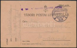 1917 Tábori Posta LevelezÅ‘lap 'M.kir. 9. Honvéd Gyalog Ezred' + 'TP 425 A' - Sonstige & Ohne Zuordnung