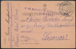 1916 Tábori Posta LevelezÅ‘lap / Field Postcard 'M. KIR. BUDAPESTI 29. NÉPFELKELÅ GYALOG 11.... - Other & Unclassified