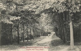 T3/T4 Heinitz, Königliche Steinkohlenbergwerk, Partie Aus Dem Park / Royal Coal Mine, Park Detail (fa) - Ohne Zuordnung